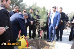 مراسم روز درختکاری 19