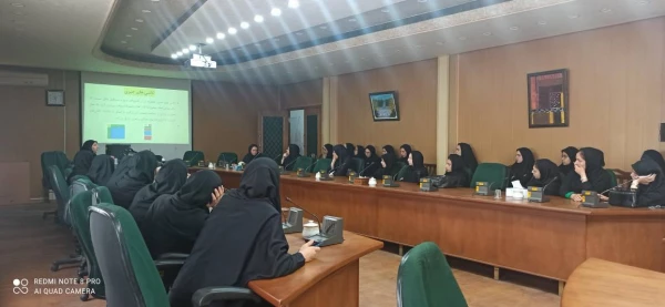  کارگاه "مفهوم سازی ضرب فرآیندی با کاشی های جبری" 4