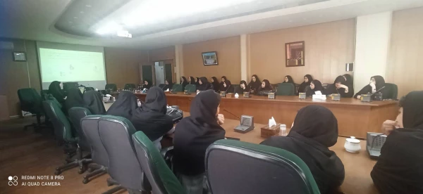  کارگاه "مفهوم سازی ضرب فرآیندی با کاشی های جبری" 5