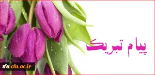 برگزیدگان نمایشگاه ریاضی و هنر 