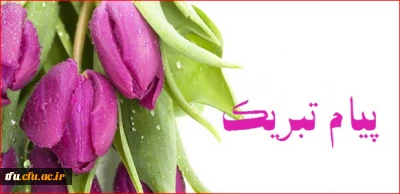 برگزیدگان نمایشگاه ریاضی و هنر 