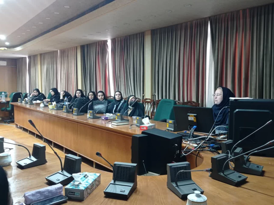 کارگاه استانی توانمند سازی 3