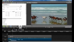 استاد محمودی